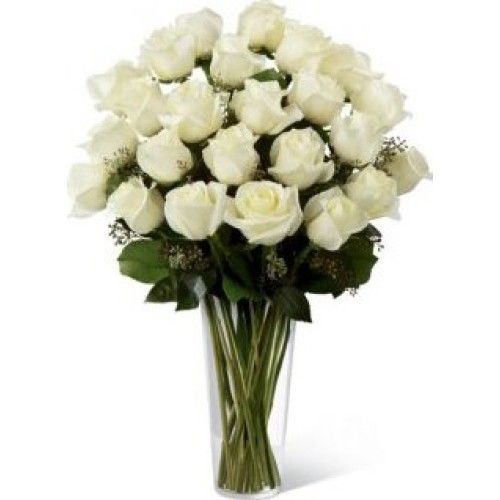 Light white (Standard)